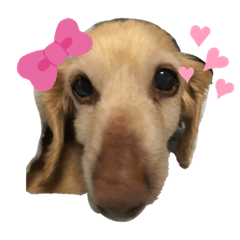 Nanami_20210430221526