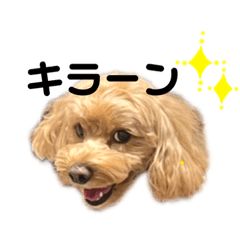 saori_20210501031728