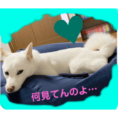 yun_20210430180751