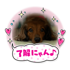 sakura chan1