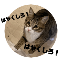 Rina_20210430223323
