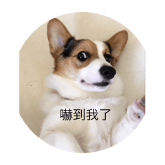 努努寶貝
