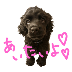 LeaLea stamp vol.2