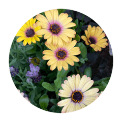 arisa_20210501120235