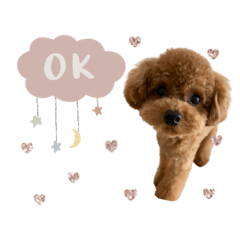Ajuki__coton sticker