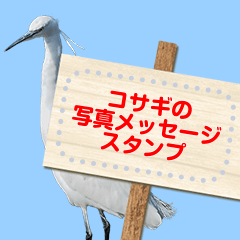 Little egrets photo message sticker