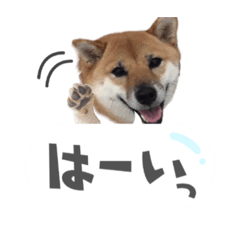 Mememei_20210501015205