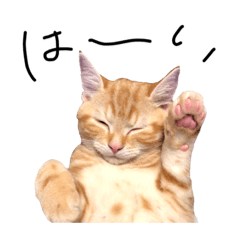h_20210501130414 – LINE stickers | LINE STORE