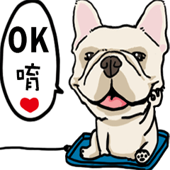 Comedian French Bulldog BUBU