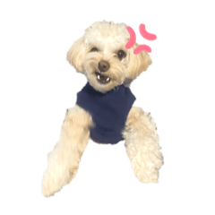 SEIRA_20210501030317