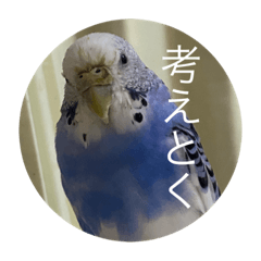 Emily_20210501113203