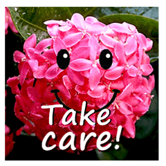 Communicate with flowers