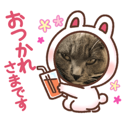 tetsu_20210501094244