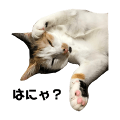 arisa_20210501084749