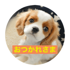 saya_20210501101419