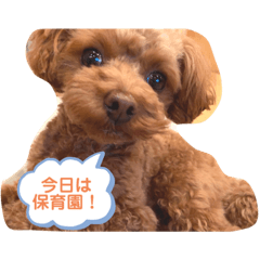 kaho_20210501115852