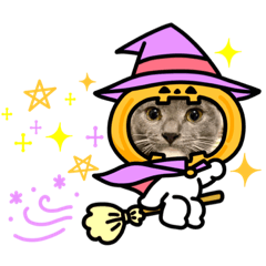 tetsu_20210501093744