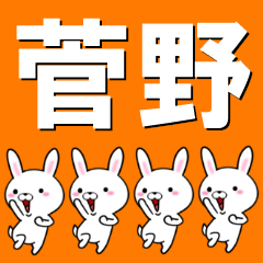 超★菅野(すがの・かんの)なウサギ