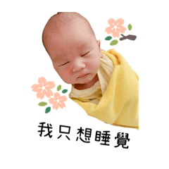 可愛碩碩寶貝