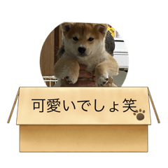 Hiyori_20210501191326