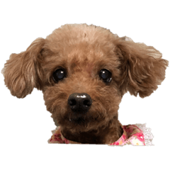 MIZUKI_20210501195137