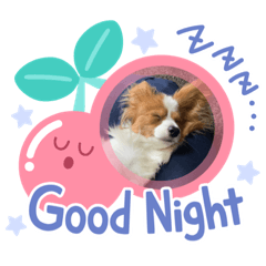 mimi_20210501184115