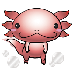 UPA of Axolotl
