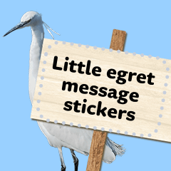 Little egrets photo message sticker-EN