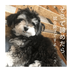 hana_20210501204842