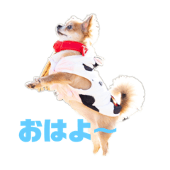 Hikari_20210501210617