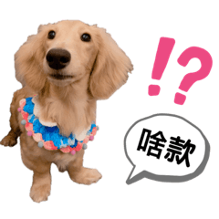 呀比的日常語錄