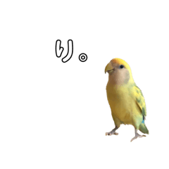 nanami_20210501214917