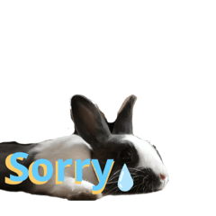 嘻嘻嘻嘻哈哈