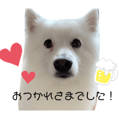 kanae_20210502110525
