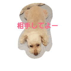 myumyu2017