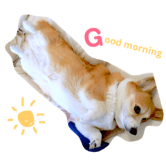 rina_20210501221204 - Stiker LINE | LINE STORE