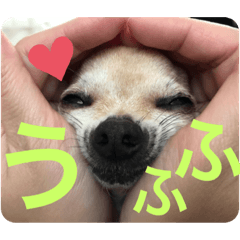 junko_20210502114801