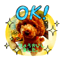 junko_20210502080518