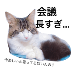 愚痴を吐きまくるマイペースにゃんこーず Line スタンプ Line Store