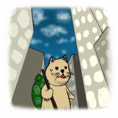 The Traveling cat