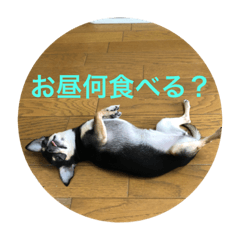 Mimi_20210501225913
