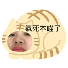可愛盈