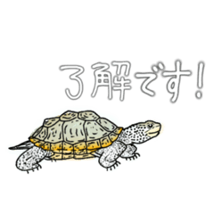tommy_20210501204718
