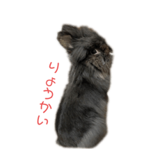hana_20210502095236