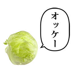 letas lettuce 7