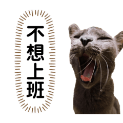 Mirror的日常語錄
