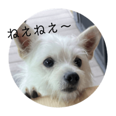 hana_20210502122920