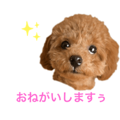 yamada_20210502140520