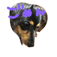 sasuke kun