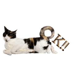 ひろ さん制作のlineクリエイターズスタンプまとめ Stamplist ひろ さん制作のlineクリエイターズスタンプまとめ Stamplist